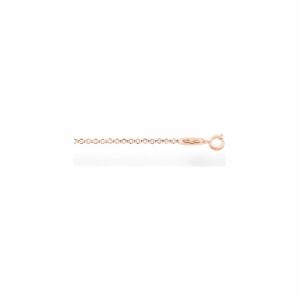 Thomas Sabo Kette KE1219-415-12-M 925er Silber