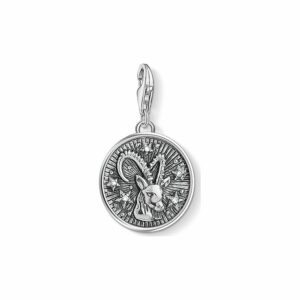 Thomas Sabo Charm 1649-643-21