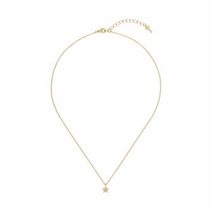 Ted Baker Kette TBJ3182-02-02 Messing